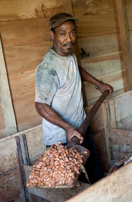 CECAQ-11-cocoa-farmer-Roque CECAQ-11 cocoa farmer Roque Pimental
