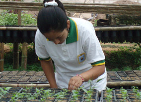Forestry assistant at Aprocassi
