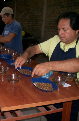 Preparing samples at Bagua Grande