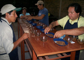 Preparing samples at Bagua Grande