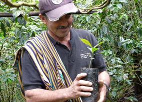 Farmer member Raul Luzon Munoz, member of base cooperative Santa Rosa de Chonta in Montero.JPG