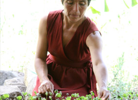 Carmen Vargas Rivera, a coffee producer for Chirinos in Peru, under the shade with the coffee seedlings in her nursery