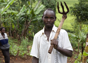 As part of the gold standard we work directly with smallholder growers