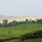 kenya_thumbnail