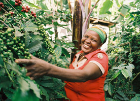 Bertha Fanueli Matowo of the KNCU grower organisation