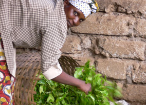 A member of the RSTGA Kapugi Primary Society