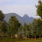 rwandan_thumbnail