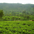 sri_lanka_thumbnail
