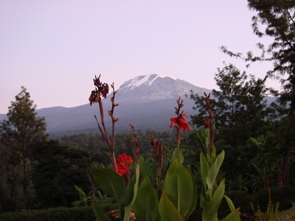 kili sunrise